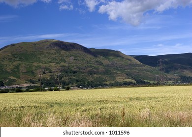 Ochil Hills