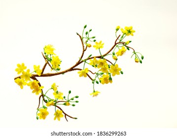 ochna branches to decorate for celebrating Lunar New Year. It's also called Tet holidays in Vietnam, isolated on white background