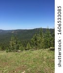 Ochoco National Forest with Blue Skys and Trees 