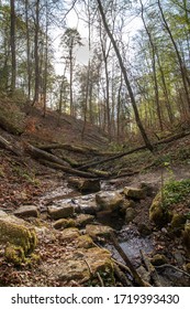 Ochsenbach In The Schönbuch Nature Park