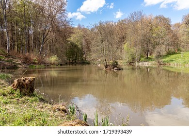 Ochsenweier In The Schönbuch Nature Park