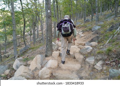 Oct 10, 2020 An Older Man Hiking, Using Tree Branch As Hiking Pole, From Bull Hill To Breakneck Ridge At Hudson Highlands State Park Preserve, New York, USA.