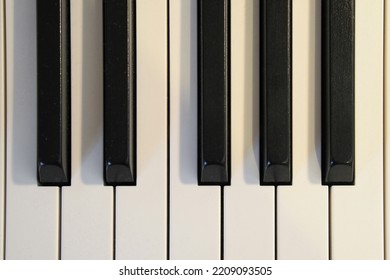 An Octave On The Piano Keyboard