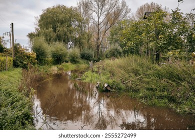 October 10, 2024: Scenic autumn view of the Dommel stream near Opwetten, surrounded by lush greenery, calm waters, and a serene natural atmosphere. - Powered by Shutterstock