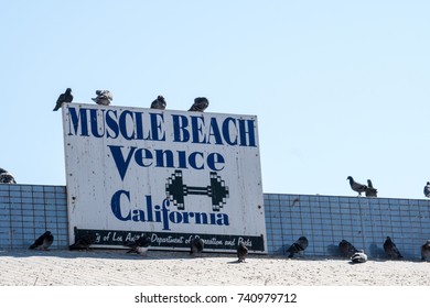 OCTOBER 19 2017 - Venice Beach, CA: Muscle Beach Sign Welcomes Visitors To The Famous Town In Los Angeles County, Home Of The Muscle Beach, Where Bodybuilders Workout And Lift Weights