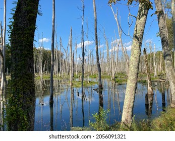 766 Yorktown virginia Images, Stock Photos & Vectors | Shutterstock