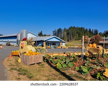 October 2, 2022 - Central Saanich, BC, Canada. Fall Produce Display Showcasing The Harvest And Celebrating Halloween And Thanksgiving