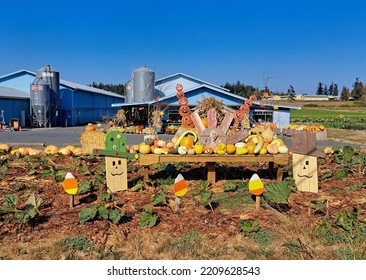 October 2, 2022 - Central Saanich, BC, Canada. Fall Produce Display Showcasing The Harvest And Celebrating Halloween And Thanksgiving