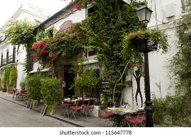 October 2012. Old Malbella, Costa del Sol, Spain Town in bloom with green leaves and red flowers against white walls and brown earthen pots