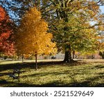 October in Cherokee Park - Lovers on a bench in the distance - Louisville, KY 