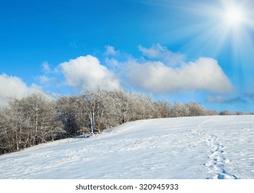 October Mountain Beech Forest Edge, First Winter Snow And Sunshine In Blue Sky