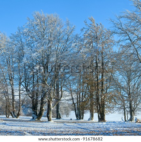 Similar – Foto Bild der letzte Stich Umwelt