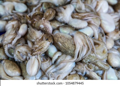 Octopoda For Sale In The Wet Market.