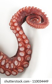 Octopus arm