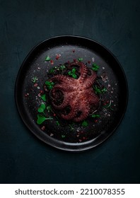 Octopus With Black Spaghetti, Pasta, Spices And Herbs, Top View, No People,