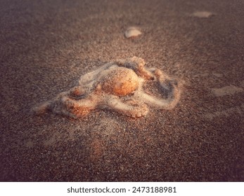 octopus sea animal mollusc ocean - Powered by Shutterstock