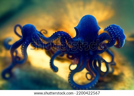 Octopus at sea. Octopus in the deep ocean. 
