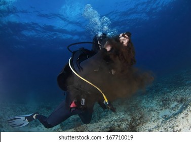 Octopus Shooting Jet Of Ink When A Diver Catch It.