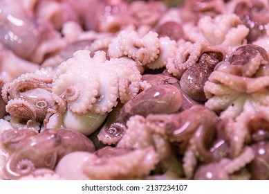 Octopus Sold In The Market. Mollusc With Eight-limbed Mollusc Of The Order Octopoda.