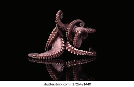 octopus desktop