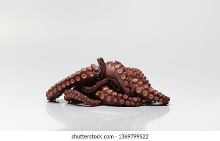 octopus tentacle food