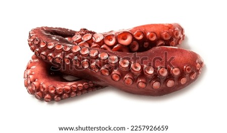Octopus tentacles isolated over white background