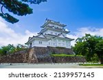 Odawara Castle is a huge historical place in Japan, where the Hojo family resisted to Hideyoshi Toyotomi