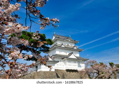 odawara castle spring cherry blossom - Shutterstock ID 1618867825