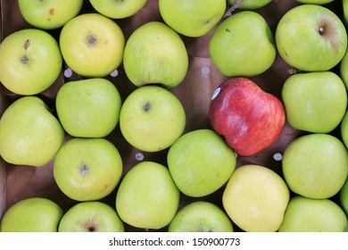 odd one out tray of green apples with one red one that's the odd one special exception to the rule different