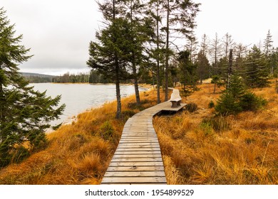 Oderteich, Harz National Park, Germany