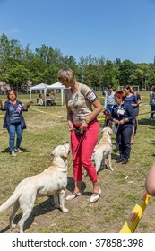 Odessa, Ukraine - June 2, 2015: International Dog Show According To FCI-CACIB. People And Dogs On The Dog Contest. Pedigree Dogs Are Fighting For The Victory In The Competition Rocks. Canine Club