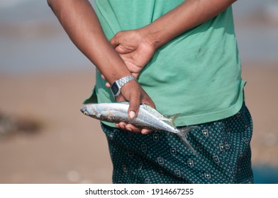 Odisha, India.- February 9  2021: Man Holding A Small Fish At Ganjam Beach.