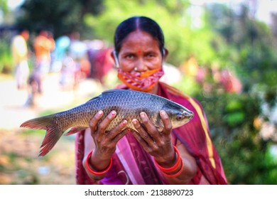 Odisha, India- March 3rd 2022: Selective Focus On Tribal Women Of Women Self Help Group SHG Holding Fresh Rohu Carp Fish In Hand In Nice Blur Background