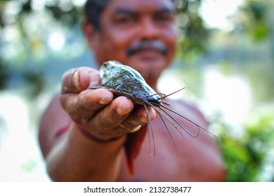 Odisha, India- march 4th 2022: Selective focus on clarias fish in the hand of a fisherman in nice blur background