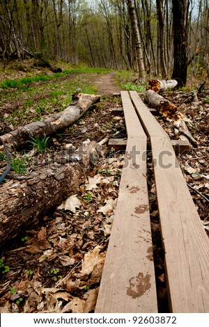 off the beaten path
