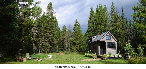 Off grid tiny house and garden in the summer woods