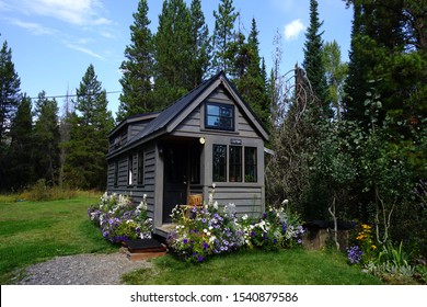 Off Grid Tiny House on Wheels in Forest Clearing surrounded by Flowers