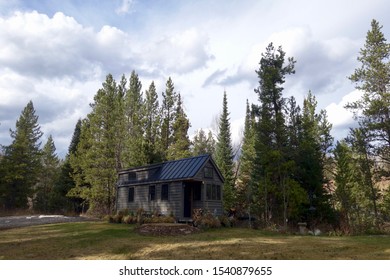 Off Grid Tiny House on Wheels in Forest Clearing surrounded by Flowers