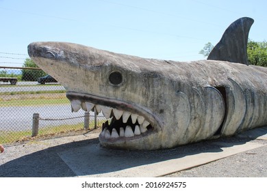 Off Road Attraction Of A Shark