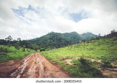 Off Road Rugged Path In Mountain Forest