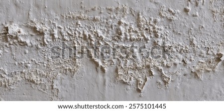 off white colored old wall paint texture. Cracked paint giving antique look. Humid and affected by weather. 