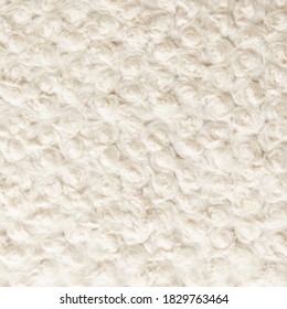 Off White Plush Fabric Texture With Decorative Rosette Design