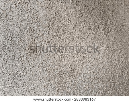 Off White Rough Stucco Plaster Wall Surface Texture with Stippled Grain Detail