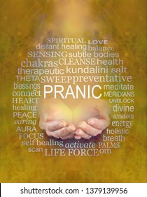 Offering Pranic Healing Word Tag Cloud - female cupped hands with  the word PRANIC above surrounded by a relevant word cloud on a warm mustard yellow ethereal background
 - Shutterstock ID 1379139956