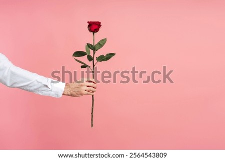 Offering a stunning single red rose against a vibrant pink background, conveying messages of love and romance perfect for valentine's day and special occasions, copy space. Celebration concept
