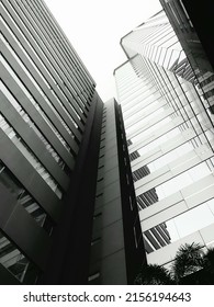 Office Building In Black N White