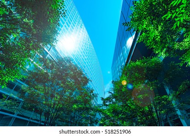 Office Building And Green, Business Concept