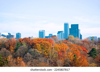 Office buildings and apartments with autumn leaf colour