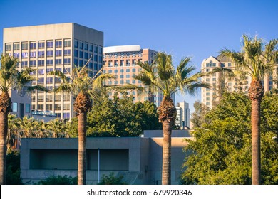 Office buildings and palm trees in downtown San Jose at sunset, California