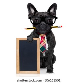 Office Businessman French Bulldog Dog With Pen Or Pencil In Mouth Holding A  Blank Banner Or Blackboard, Isolated On White Background